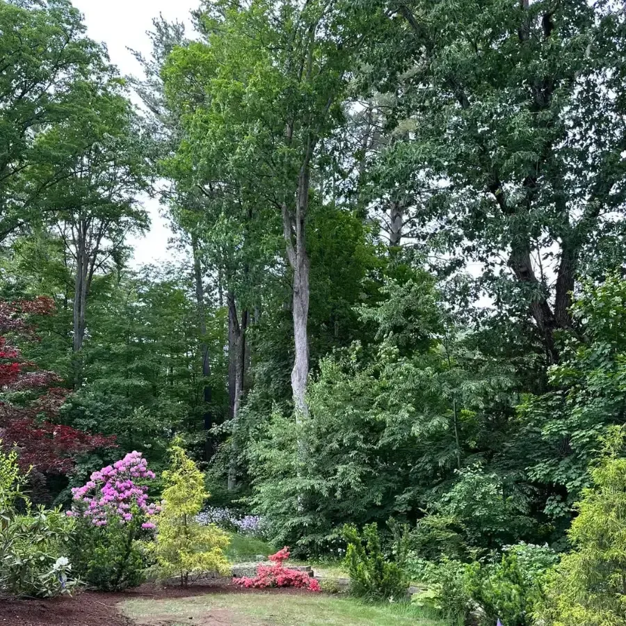Frost Landscaping Gallery