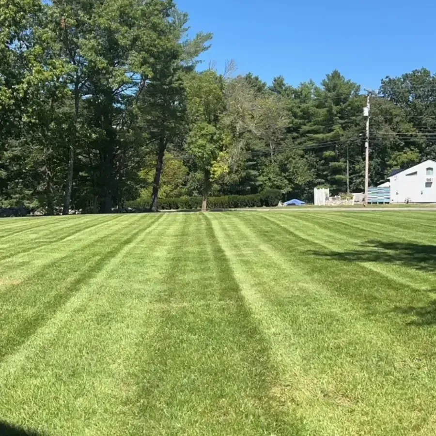Frost Landscaping Gallery