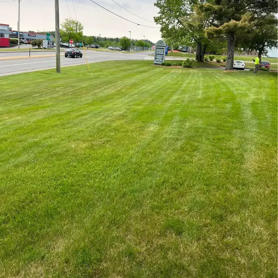 Frost Landscaping Gallery