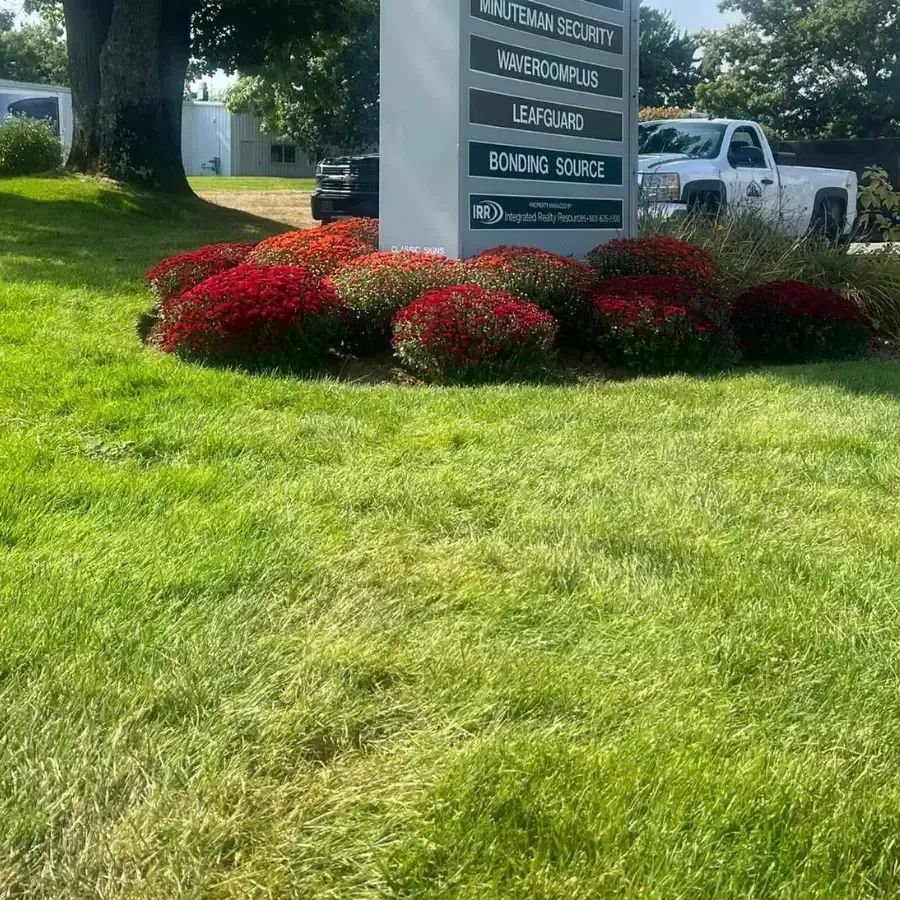 Landscaping Near You
