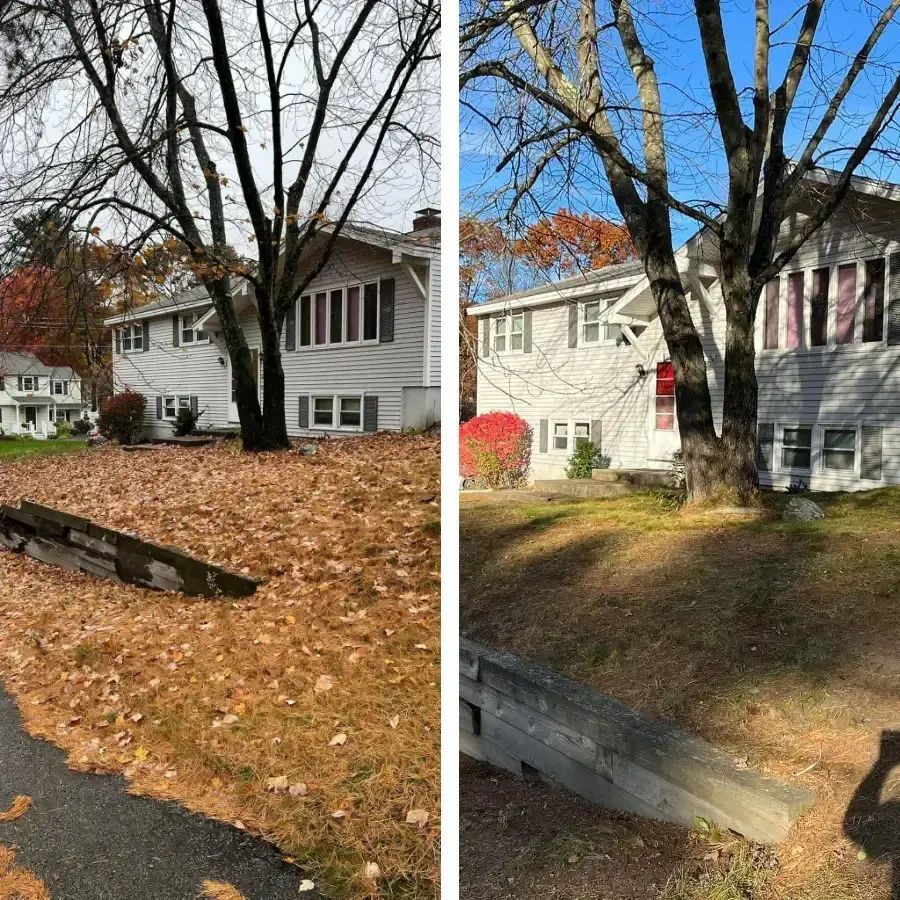 NH Landscaping Maintenance